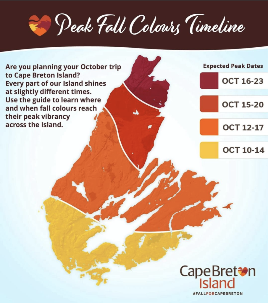 The Ultimate Fall Cabot Trail Road Trip (Cape Breton Island)